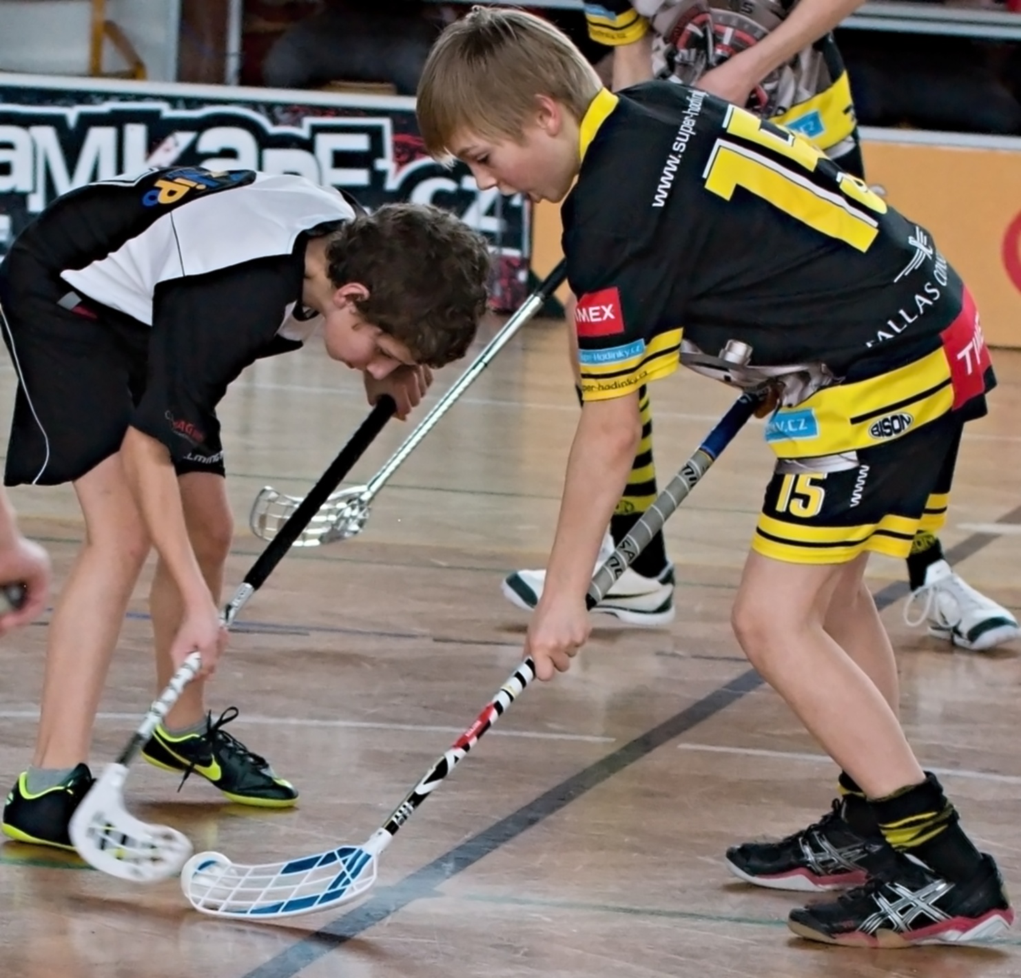 Strži v PE 13.4.2013 (44